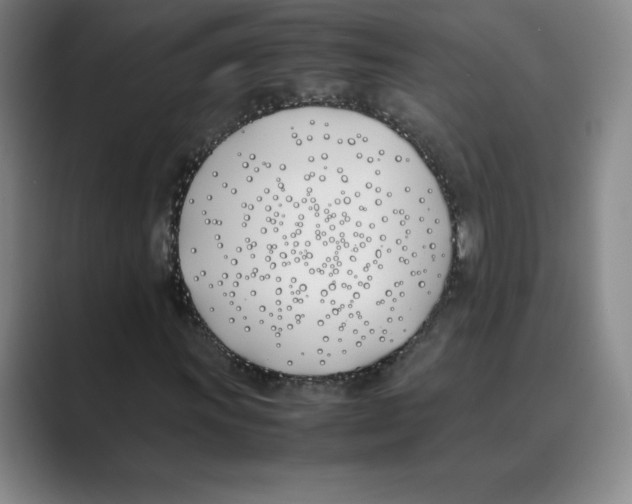 X0000088681011200706281938