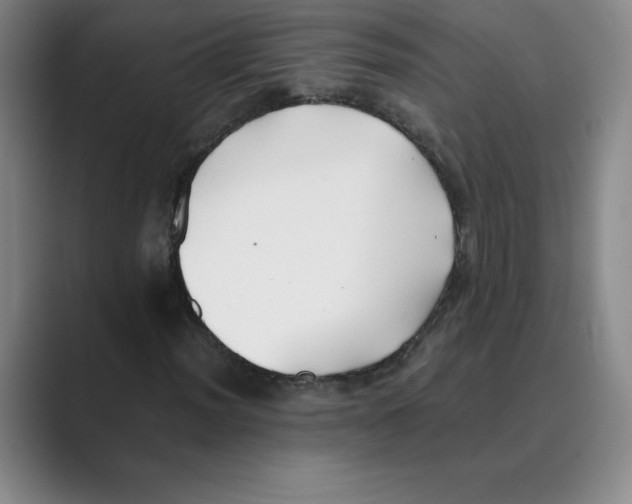 X0000088681012200706281938