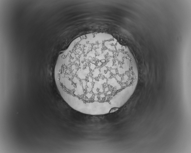 X0000088681013200706281938