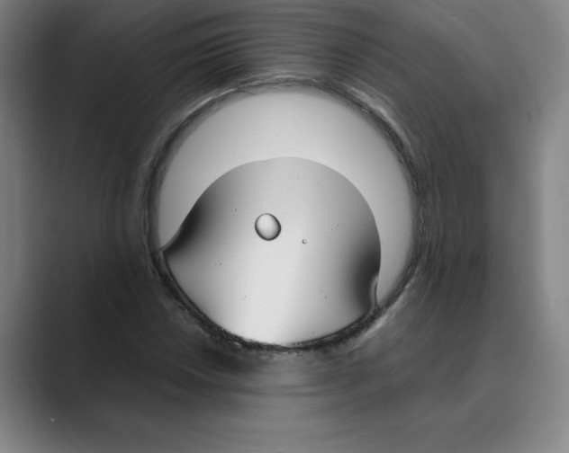 X0000088681018200706281938