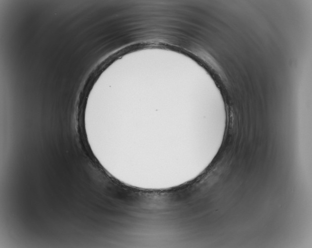 X0000088681020200706281938