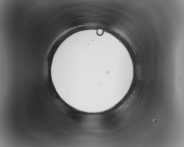 X0000088681021200706281938