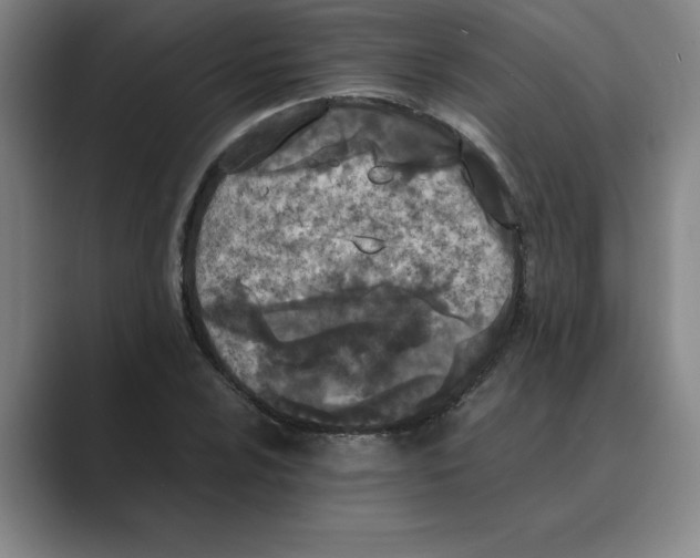 X0000088681024200706281938