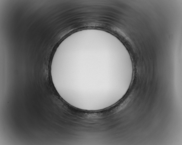 X0000088681025200706281938