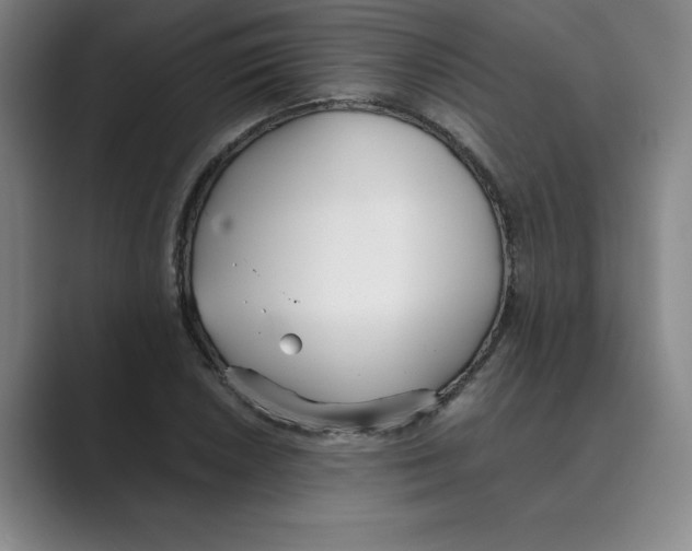 X0000088681026200706281938