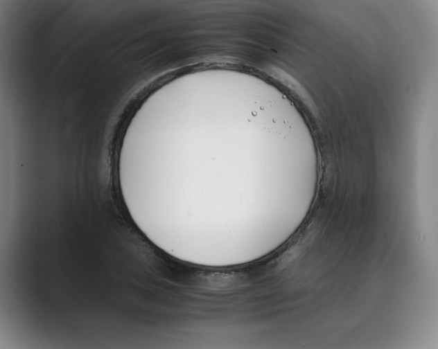 X0000088681027200706281938