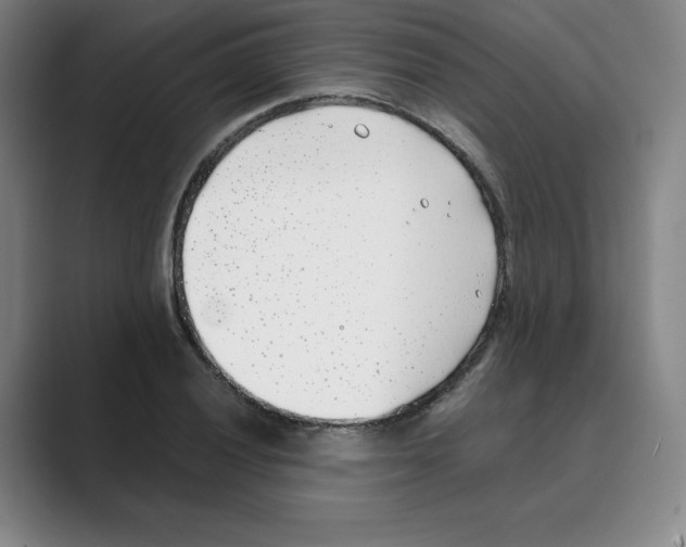 X0000088681028200706281938