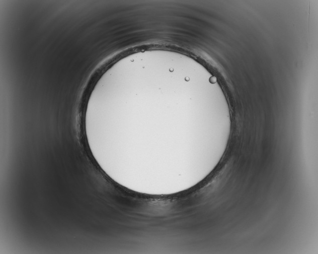 X0000088681029200706281938