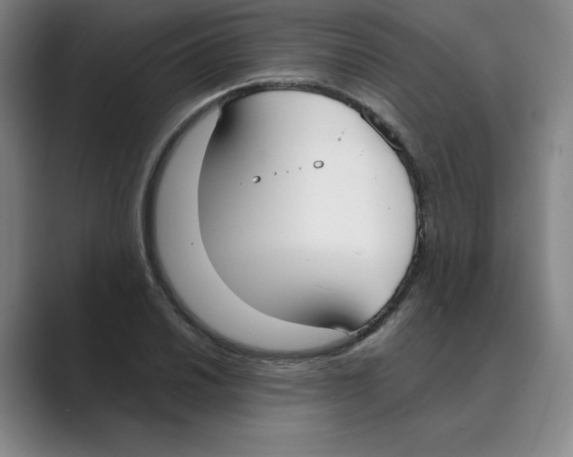 X0000088681030200706281938