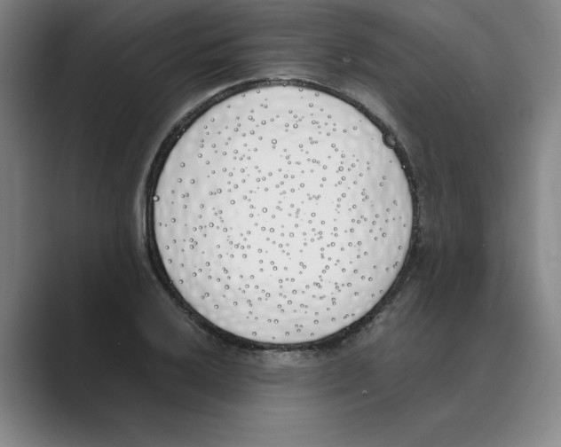 X0000088681032200706281938