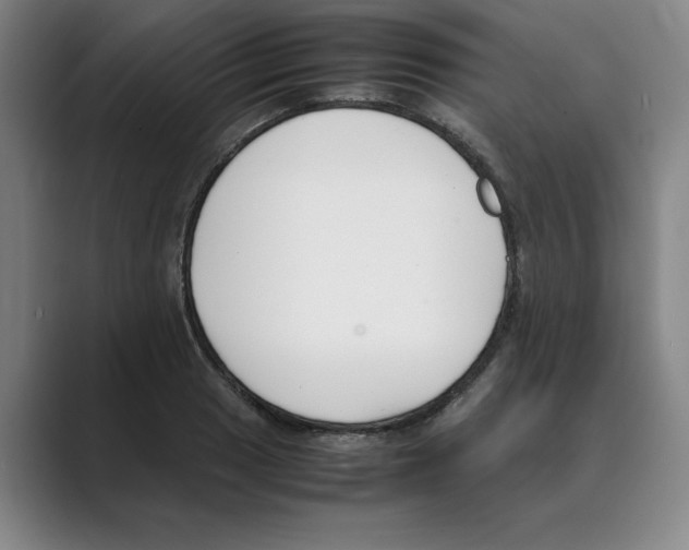 X0000088681033200706281938