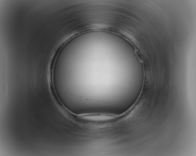 X0000088681034200706281938