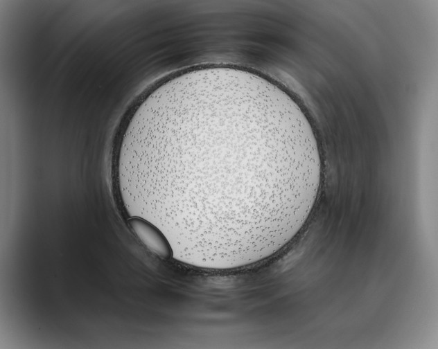 X0000088681035200706281938