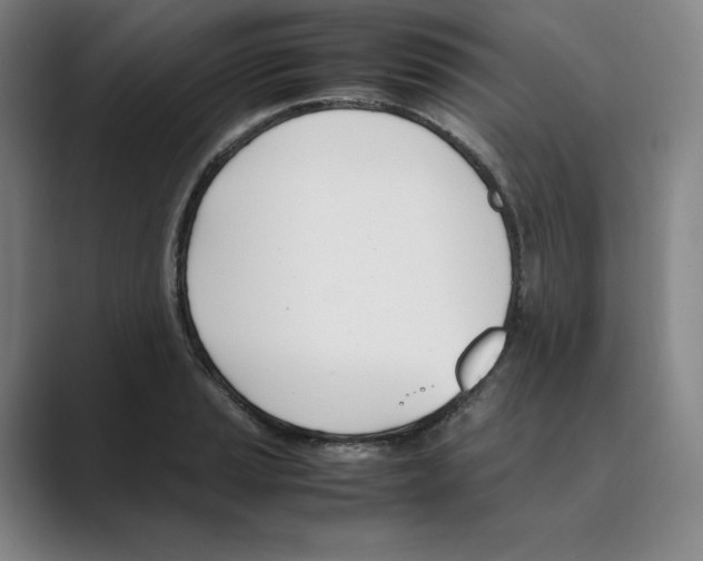 X0000088681037200706281938