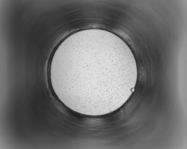 X0000088681039200706281938