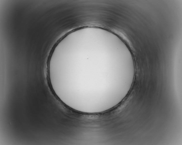 X0000088681040200706281938