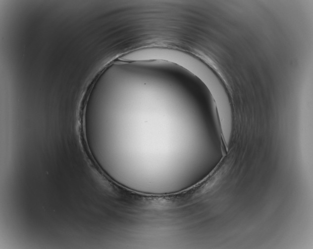 X0000088681042200706281938