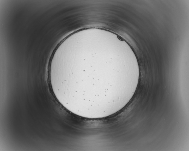 X0000088681044200706281938