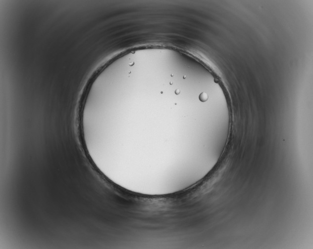 X0000088681045200706281938