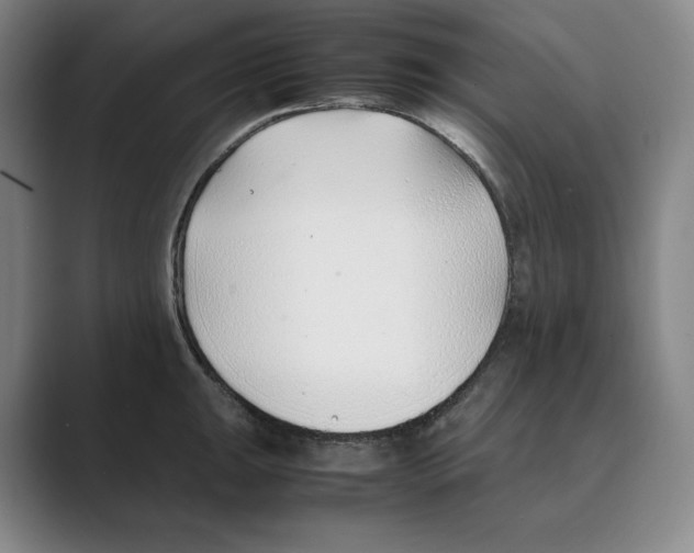 X0000088681047200706281938