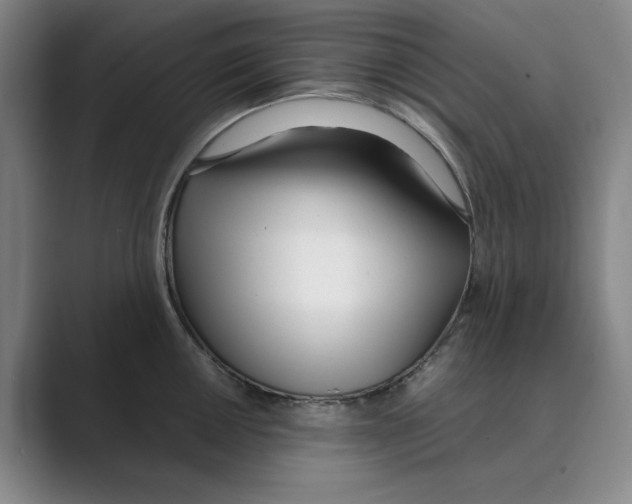 X0000088681050200706281938