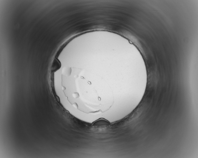 X0000088681051200706281938