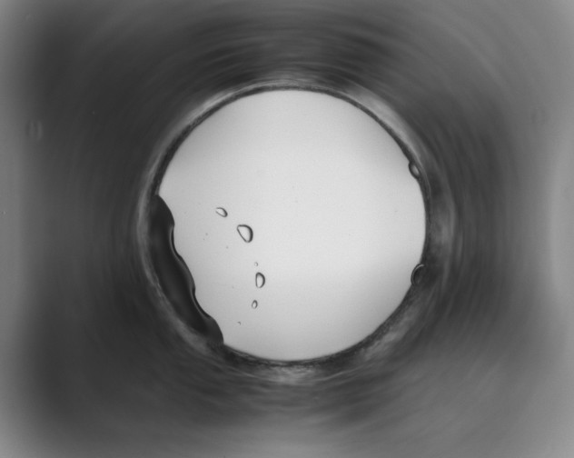 X0000088681053200706281938