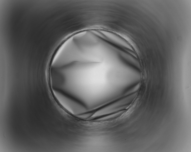 X0000088681054200706281938