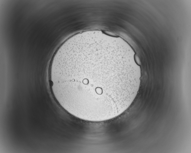 X0000088681055200706281938