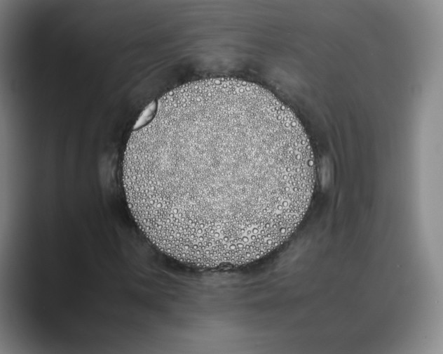 X0000088681059200706281938