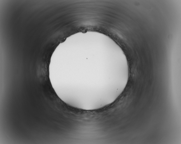 X0000088681062200706281938