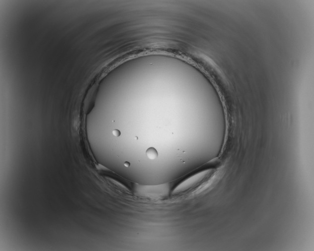 X0000088681065200706281938