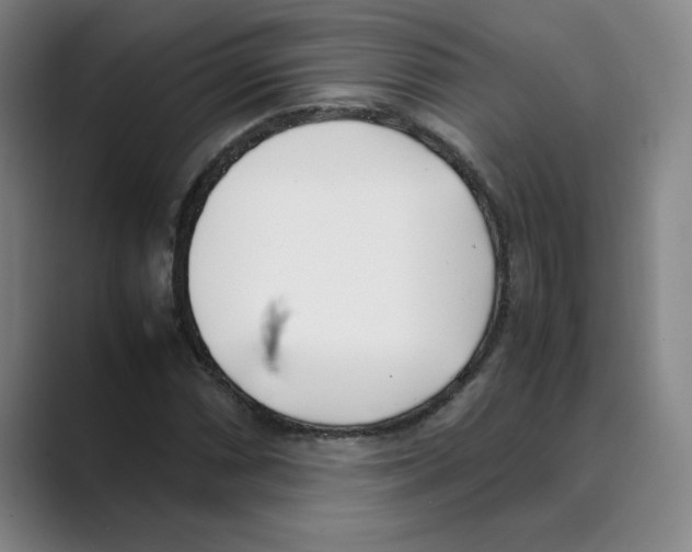 X0000088681066200706281938