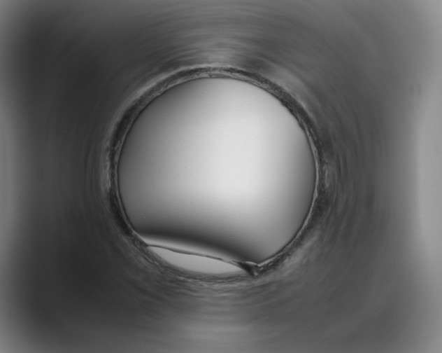 X0000088681069200706281938