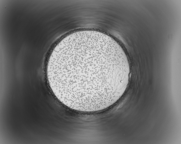 X0000088681071200706281937