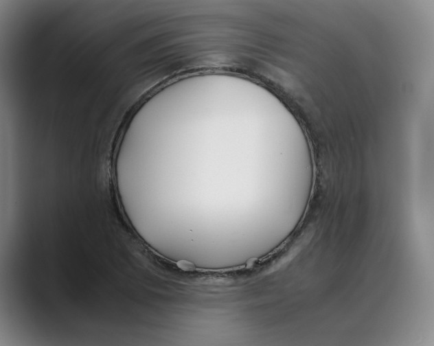 X0000088681073200706281937