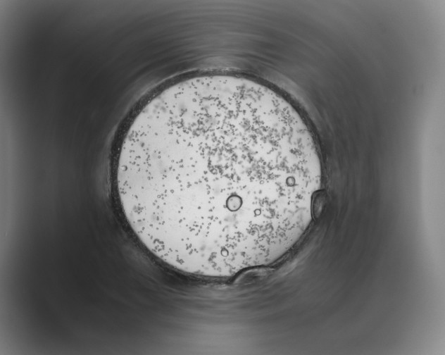 X0000088681075200706281937