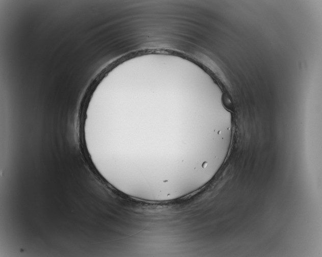 X0000088681076200706281937