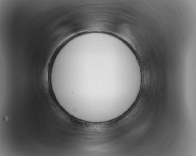 X0000088681078200706281937