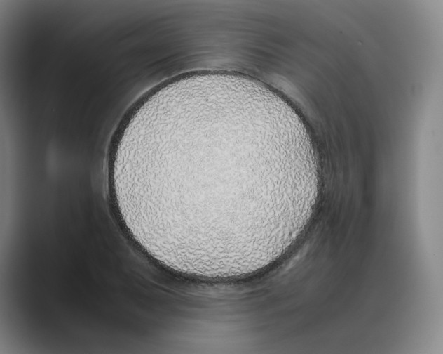 X0000088681079200706281937