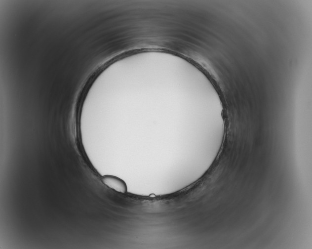 X0000088681080200706281937