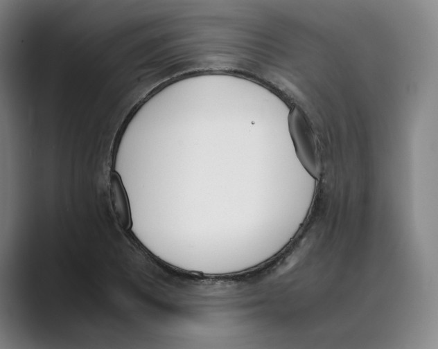 X0000088681081200706281937