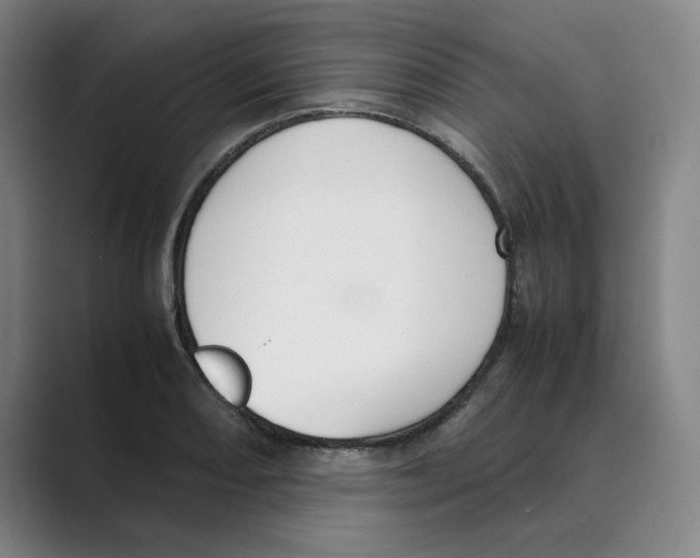 X0000088681082200706281937