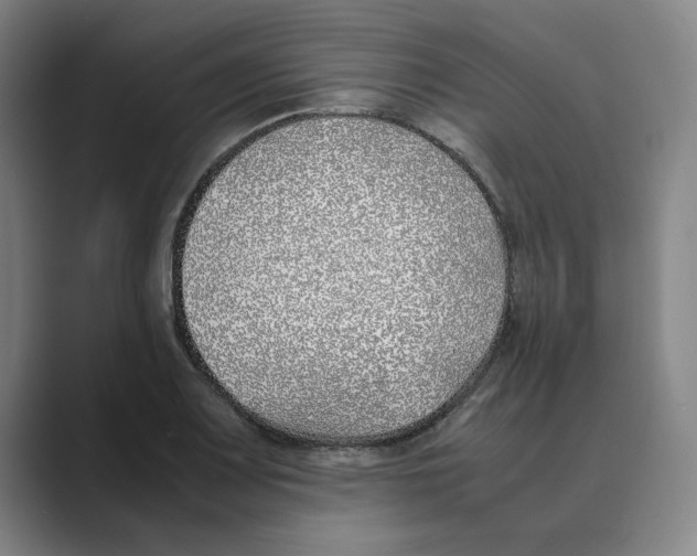 X0000088681083200706281937