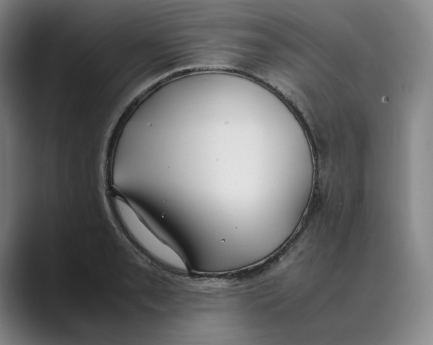 X0000088681085200706281937