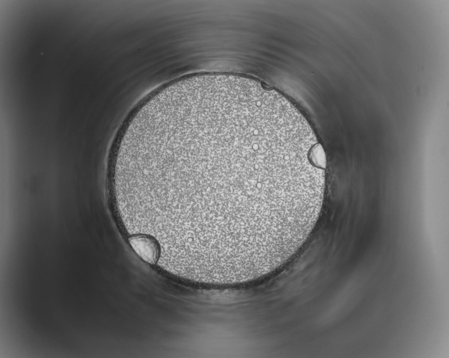 X0000088681087200706281937