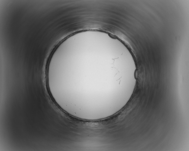 X0000088681088200706281937