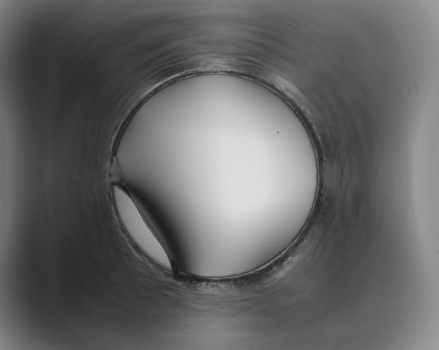 X0000088681089200706281937