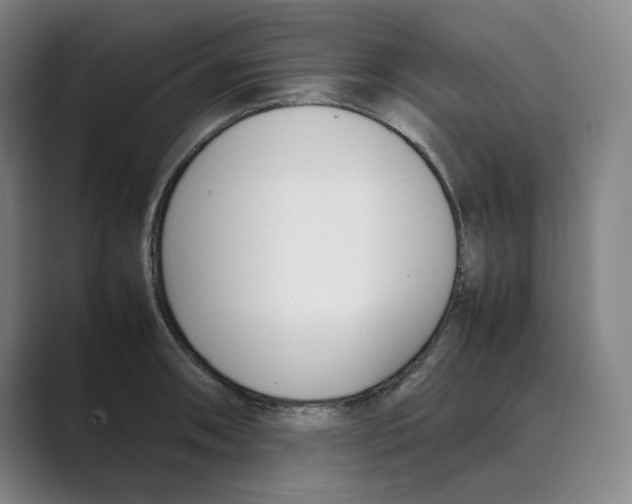 X0000088681090200706281937