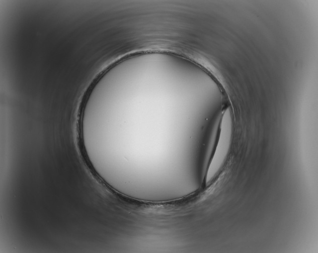 X0000088681093200706281937